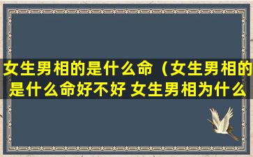 女生男相的是什么命（女生男相的是什么命好不好 女生男相为什么贵气）